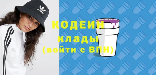 тгк Бородино