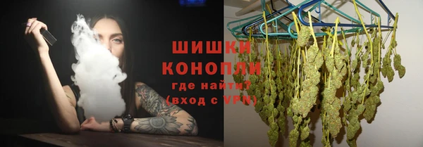 тгк Бородино