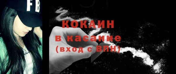тгк Бородино