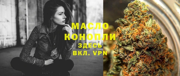 тгк Бородино