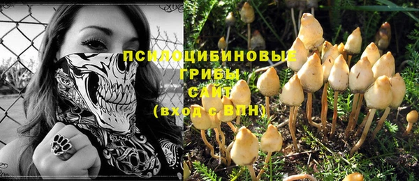 тгк Бородино
